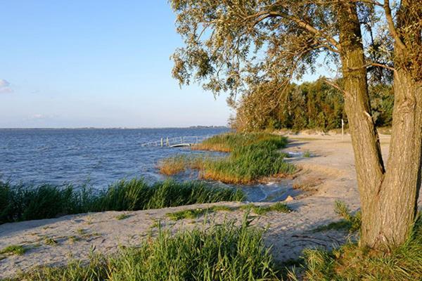 Huus Am Darss Villa Fuhlendorf  Exteriör bild